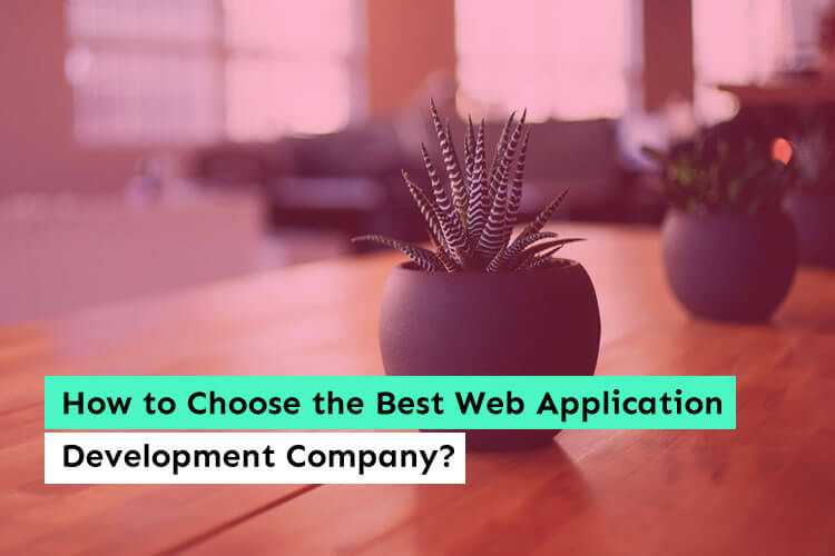 How to Choose the Best Web Application Development Company