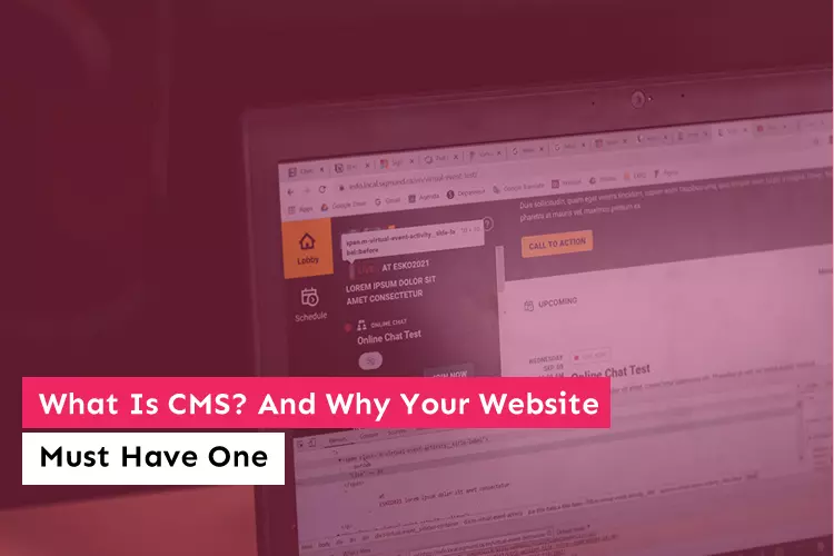 What Is CMS? And Why Your Website Must Have One