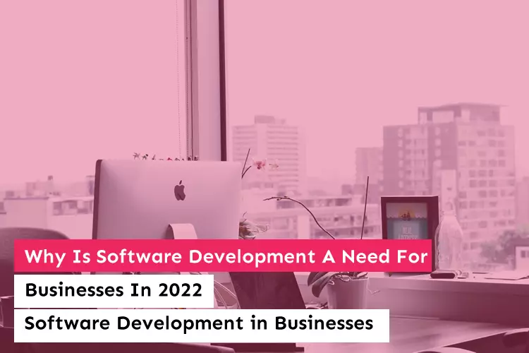 Why Is Software Development A Need For Businesses In 2022