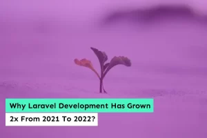 Why Laravel Development Has Grown 2x From 2021 To 2022
