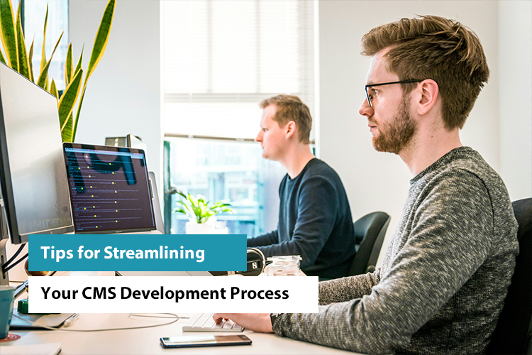 CMS Development Process Tips