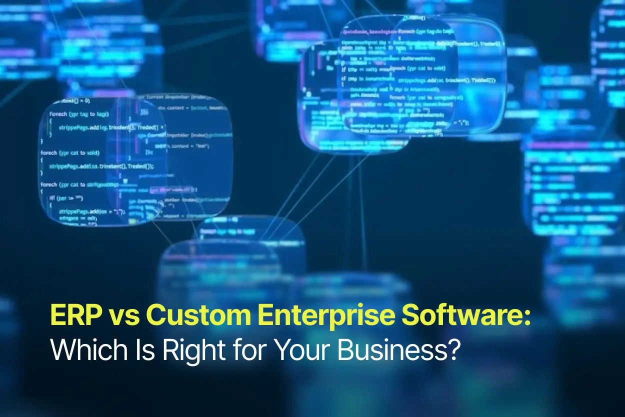 ERP vs Custom Enterprise Software | Imenso